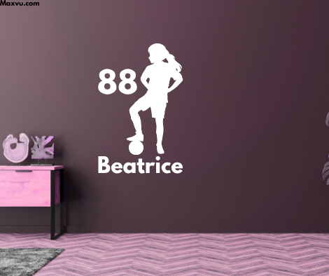 How to Install Your MaxVu Wall Graphic